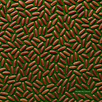 Top-view flat-lay of organic brown rice grains spread neatly – Worth2Deal Kerala Matta