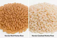 Close-up view of Kerala Unda Matta Rice grains