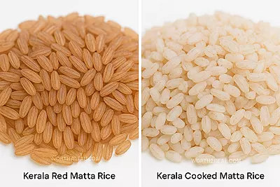 Close-up view of Kerala Unda Matta Rice grains