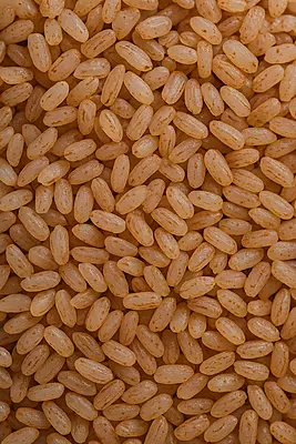 Texture shot of cooked Kerala Unda Matta Rice