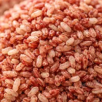 Close up of cooked organic matta rice showing natural bran layer and grain texture