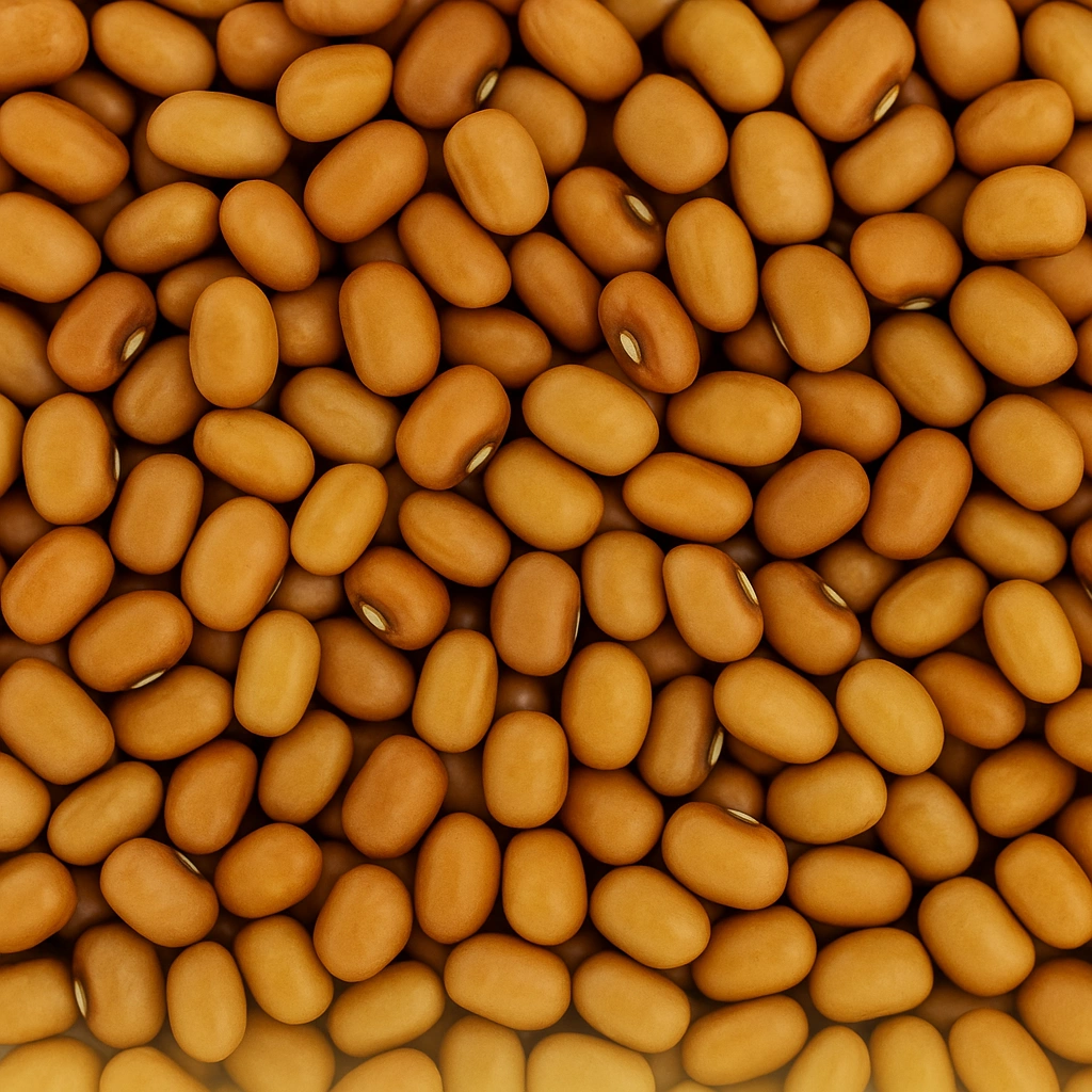 Close up of Kerala red lobia beans showing natural texture and colour