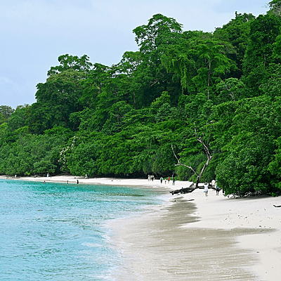 Havelock Island Package Havelock Island Package