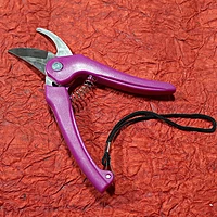 Gardening pruner Branch Trimmer Carbon Steel Blade with Lock Set of 1