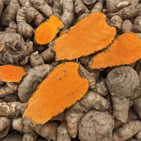 1kg Highest Curcumin Content Lakadong Turmeric Seed Rhyzomes లకాడాంగ్ పసుపు కొమ్ములు