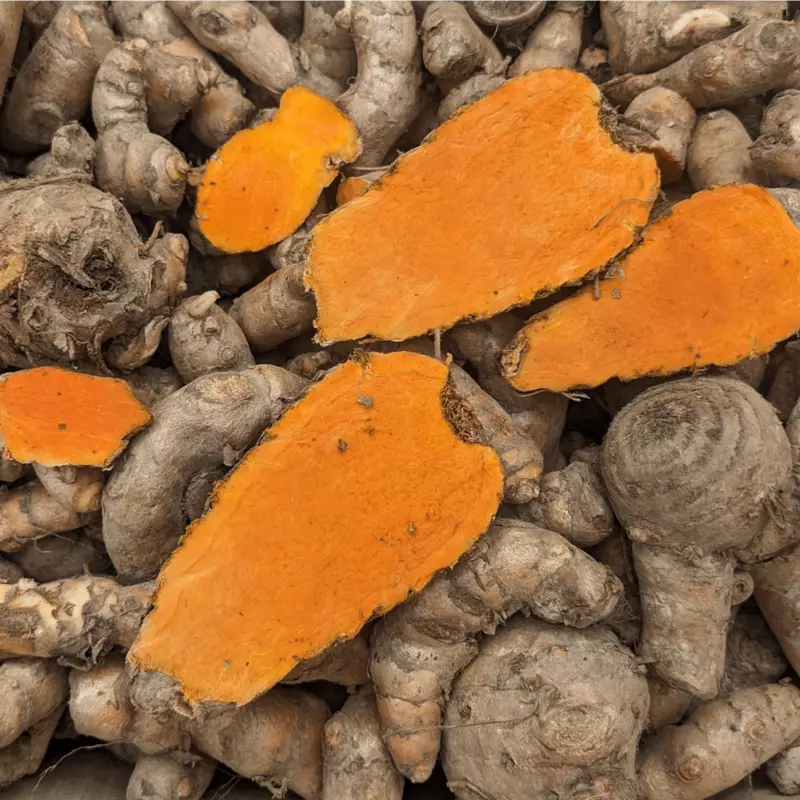 1kg Highest Curcumin Content Lakadong Turmeric Seed Rhyzomes లకాడాంగ్ పసుపు కొమ్ములు