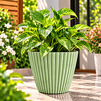 8 Inch Muddy Planters 2 | ECSHA