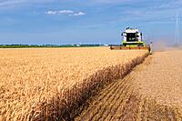 Harvesting Equipment Leasing