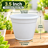 3.5 Inch Succulent Plastic Pot | ECSHA