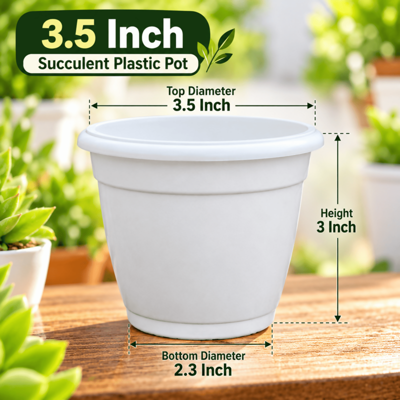 3.5 Inch Succulent Plastic Pot | ECSHA