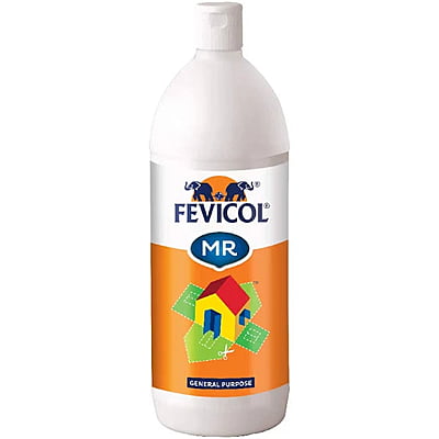 Pidilite Fevikol 500g