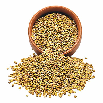 Organic Yellow Jowar Organic Yellow Jowar