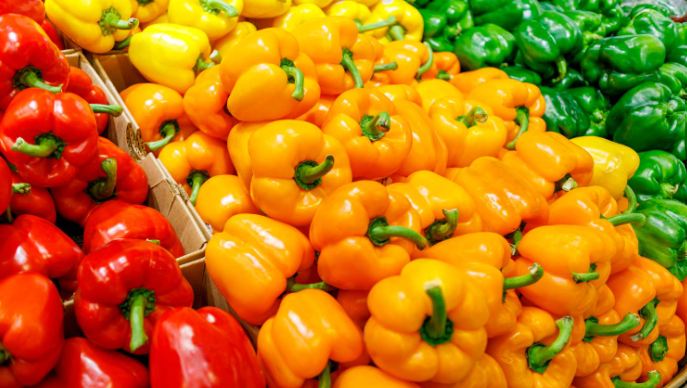 COMBO BELL PEPPER (YELLOW, RED GREEN)(APX WT 400-450 GMS)