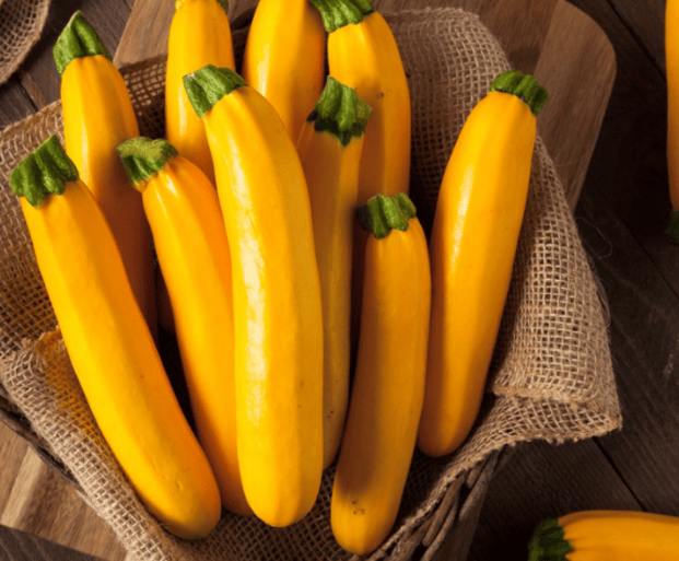 ZUCCHINI YELLOW
