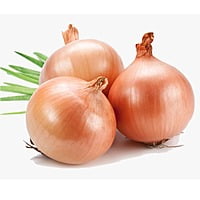 Onion 15 to 18 seeds