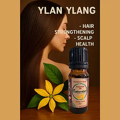 Ylang Ylang Essential Oil – 100% Pure, Therapeutic Grade | Natural Aromatherapy & Wellness Elixir