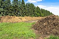 Composting & Organic Manure Processing Service