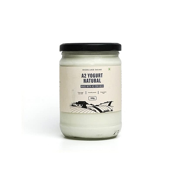 A2 Cow Milk Yogurt Natural 500 Gms