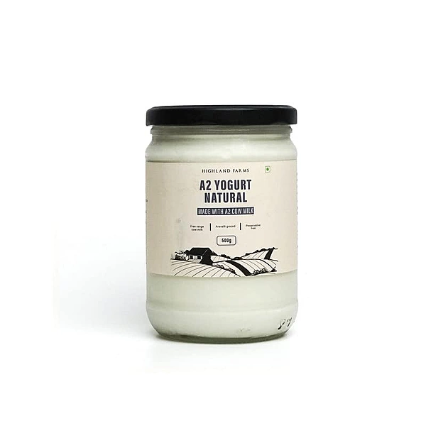 A2 Cow Milk Yogurt Natural 500 Gms