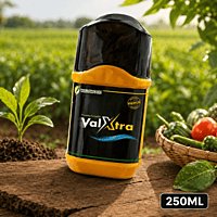 Willowood VALXTRA® Fungicide – Hexaconazole 5% + Validamycin 2.5% SC | Vetrivel Agro Services