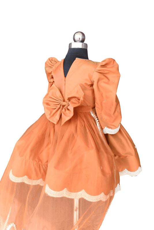 Amber Orange Royal Peacock Gown