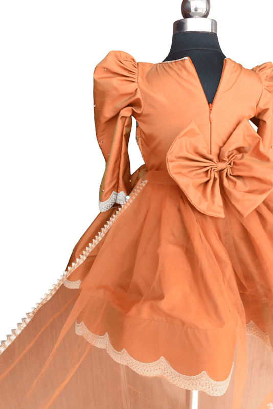 Amber Orange Royal Peacock Gown