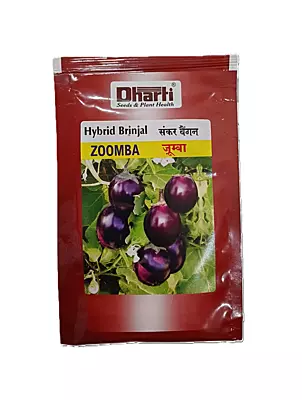 Hybrid Brinjal ZOOMBA by Dharti Seeds