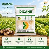 DICANE Herbicide (Diuron 80% WP) | Vetrivel Agro Services