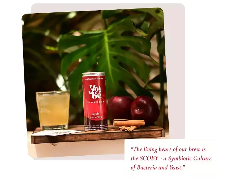 What is Kombucha? What is Kombucha?