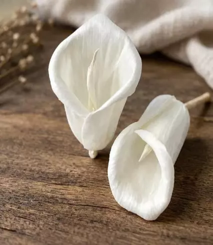 handmade sola wood calla lily dry flowers for vase decoration boho home decor leafndeor handmade sola wood calla lily dry flowers for vase decoration boho home decor leafndeor